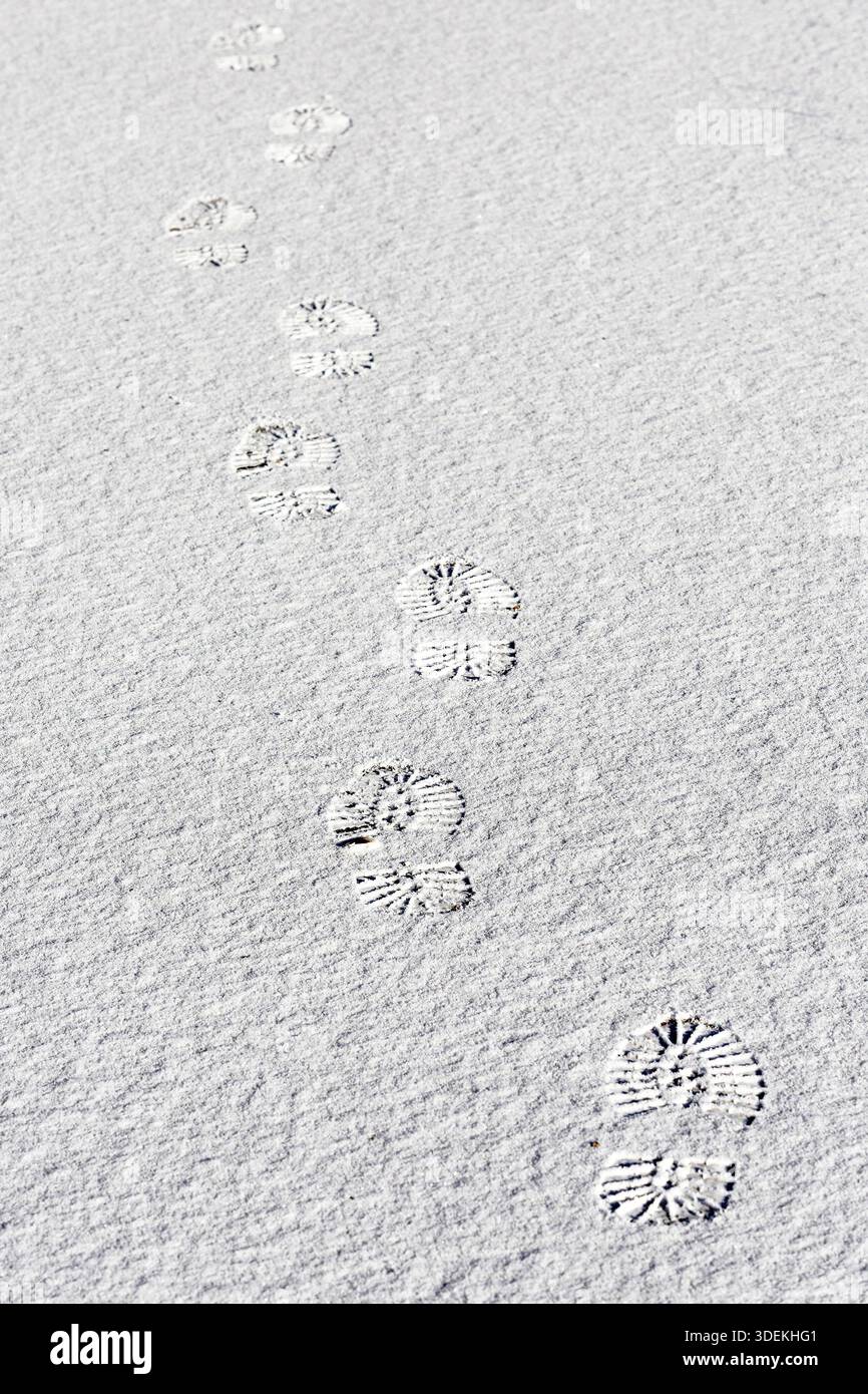 fu-spuren-im-schnee-footprints-in-the-snow-20251230-pd6951-stock