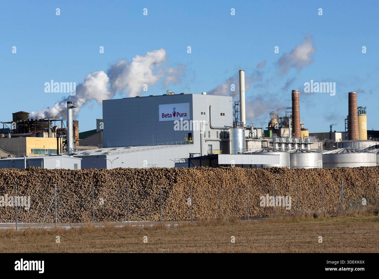 Beta Pura, Betainkristallisations-Anlage ist eine Tochter der Agrana Zuckerfabrik, Tulln, Niederösterreich, Österreich // Beta Pura, Betaine Crystallization Plant is a subsidiary of the Agrana sugar factory, Tulln, Lower Austria, Austria - 20251230 PD6980 Stock Photo