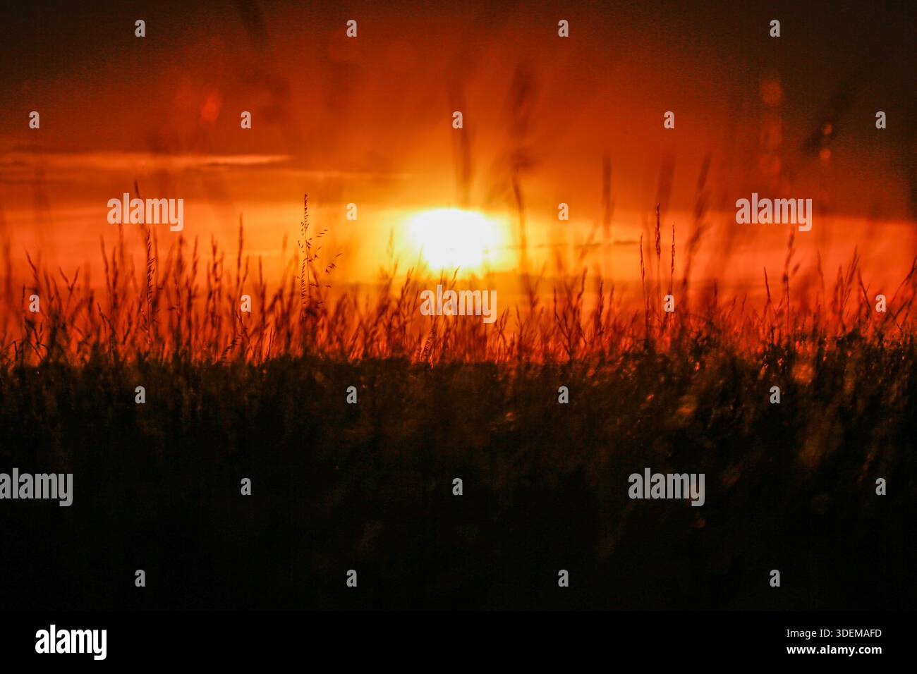 Melbourne, Australia. 08th Jan, 2026. A sunset is seen at Point Cooke Marine Sanctuary ahead of continued heatwave conditions. Tomorrow, Victoria will continue to experience extreme weather, with temperatures forecast to reach 41 °C in Melbourne and up to 43 °C in regional areas. Bushfire warnings, including “leave immediately” notices near Longwood, are in place, while damaging wind gusts of up to 90-110 km/h are forecast to affect Melbourne and surrounding areas. Credit: SOPA Images Limited/Alamy Live News Stock Photo