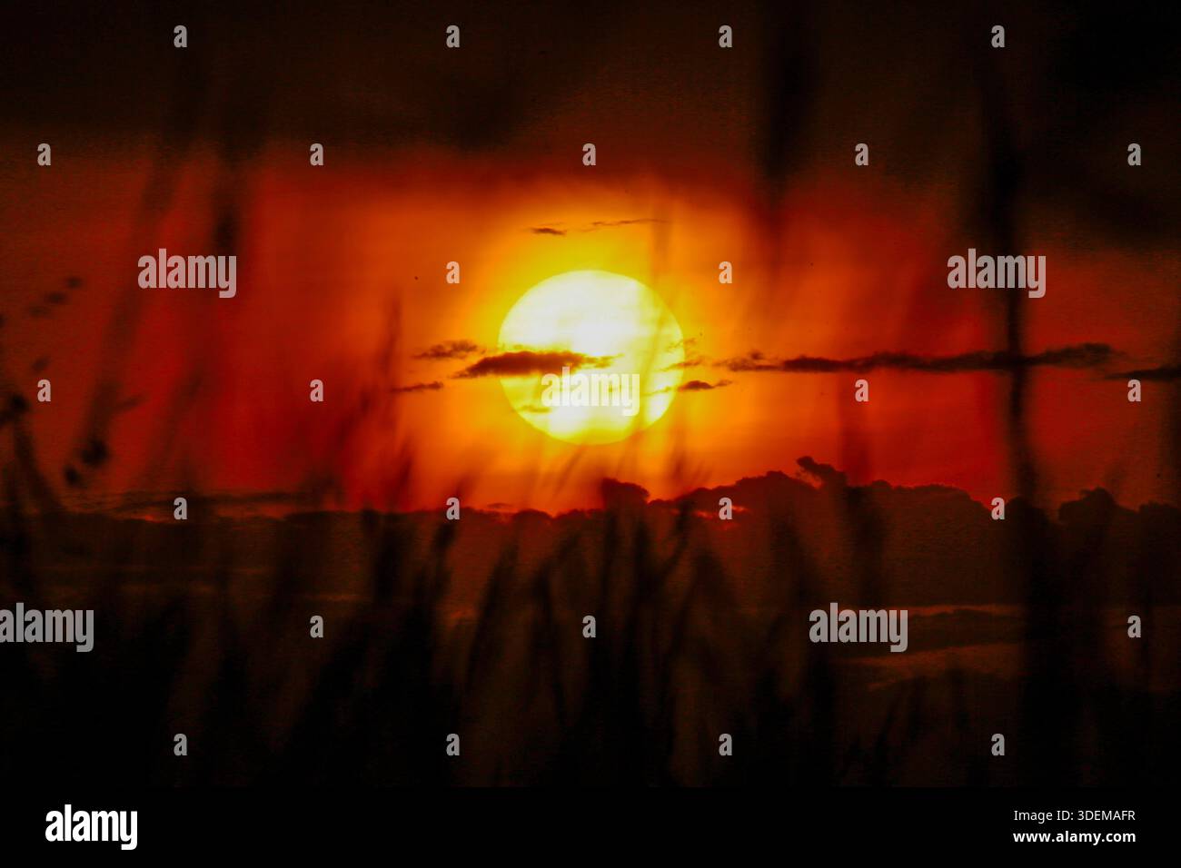 Melbourne, Australia. 08th Jan, 2026. A sunset is seen at Point Cooke Marine Sanctuary ahead of continued heatwave conditions. Tomorrow, Victoria will continue to experience extreme weather, with temperatures forecast to reach 41 °C in Melbourne and up to 43 °C in regional areas. Bushfire warnings, including “leave immediately” notices near Longwood, are in place, while damaging wind gusts of up to 90-110 km/h are forecast to affect Melbourne and surrounding areas. Credit: SOPA Images Limited/Alamy Live News Stock Photo