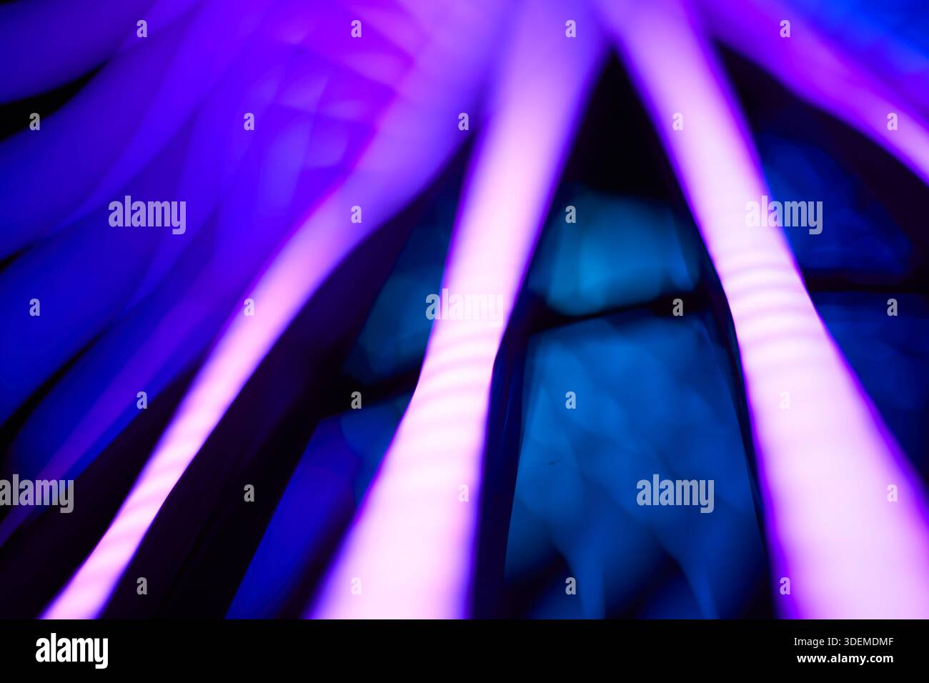 This vibrant neon lighting glow abstract background Stock Photo