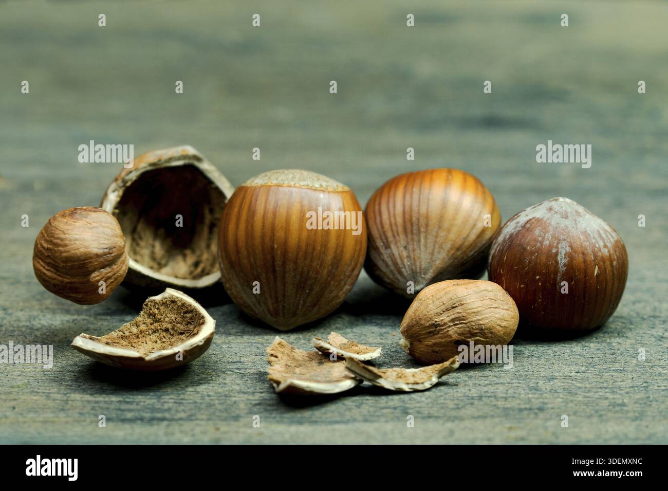 Hazelnut food nuts Background, falling on wooden table Stock Photo
