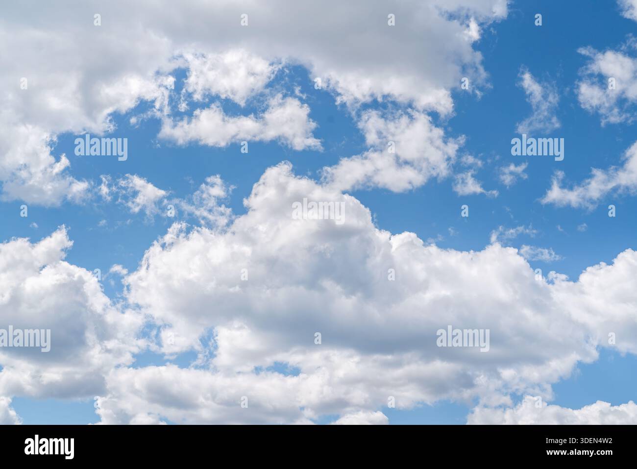 Puffy white clouds in the summer sky. Stock Photo