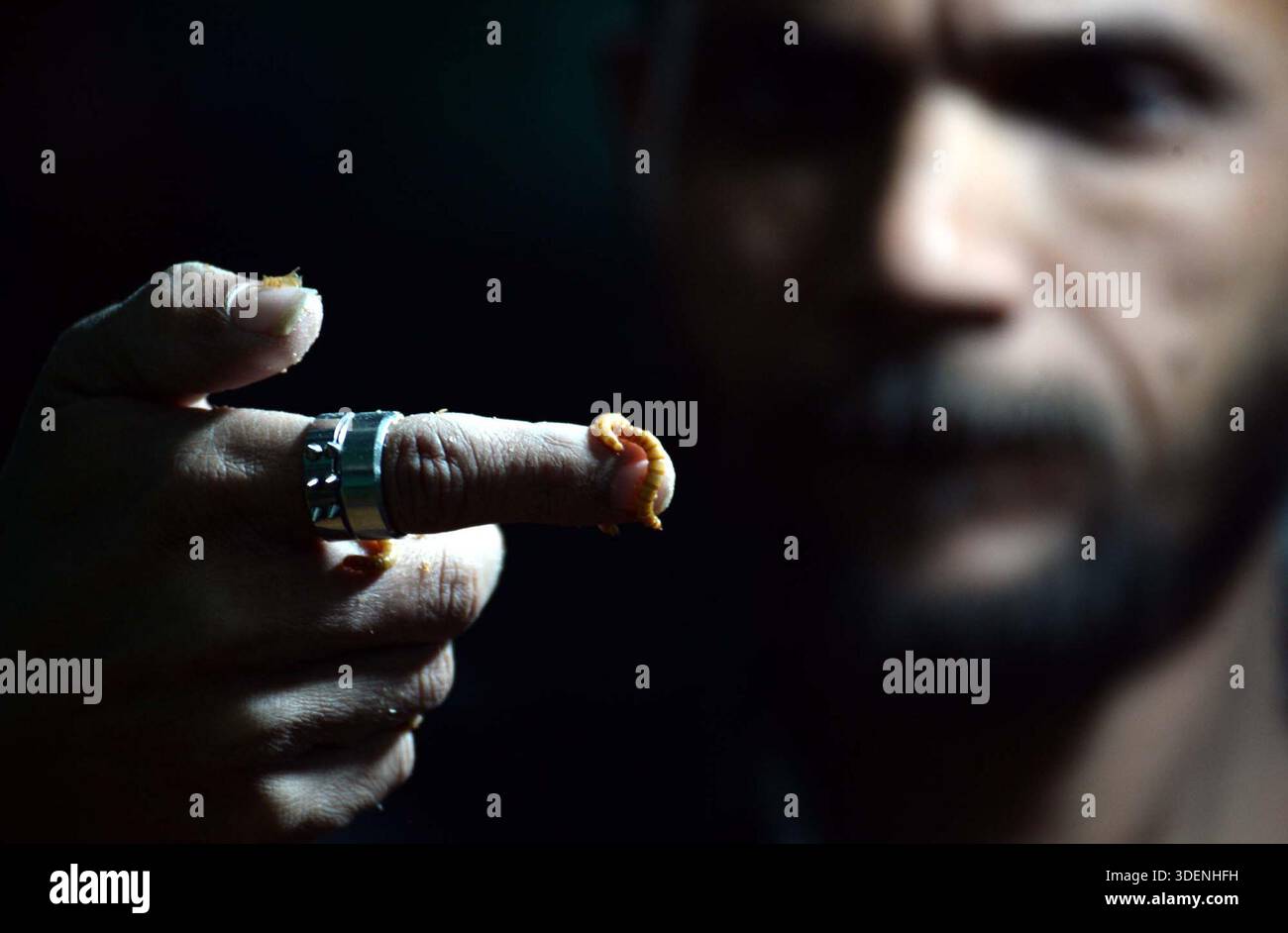 A man is showing the processing of mealworm farming, in Karachi on ...