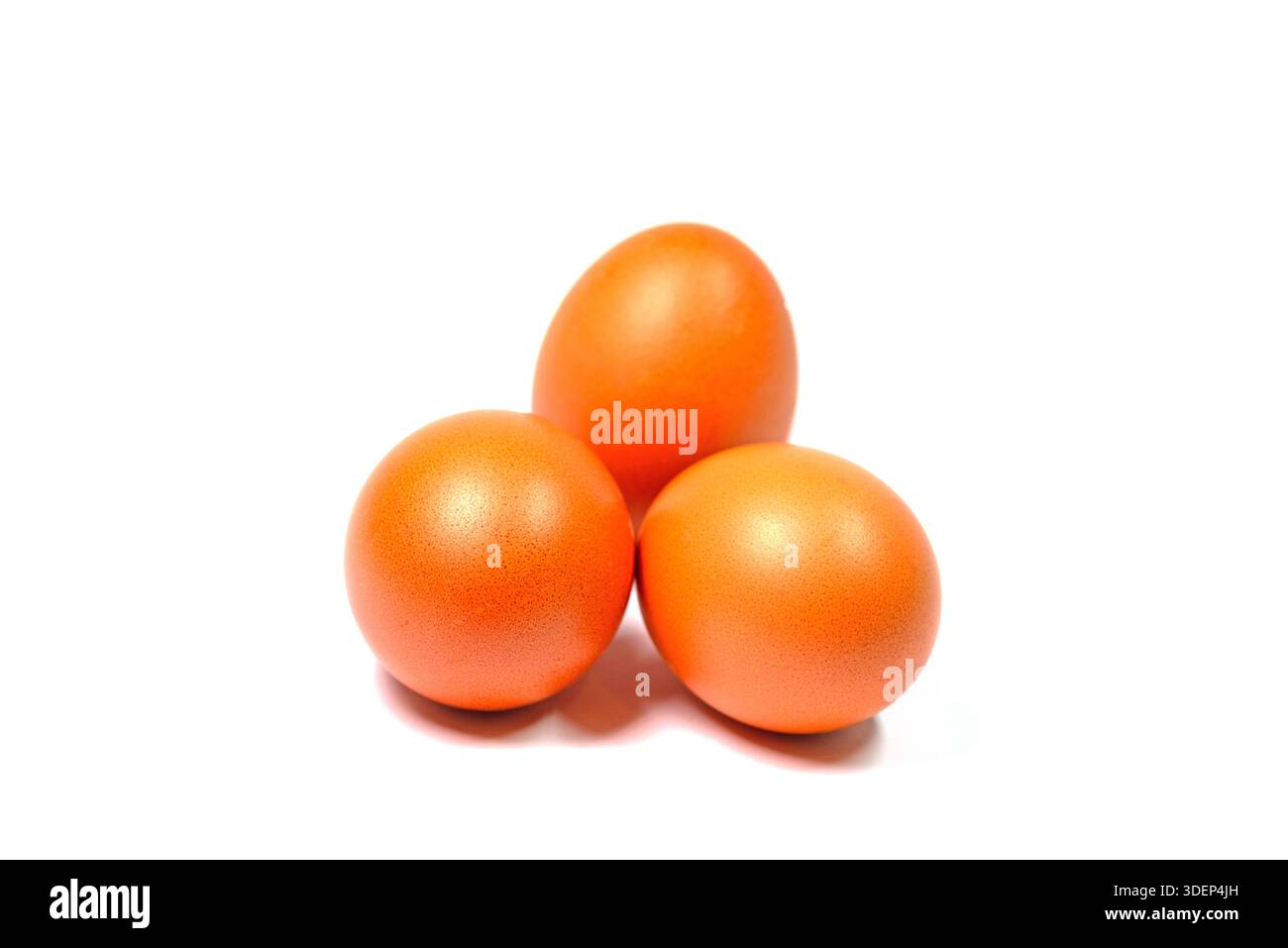 Brown chicken eggs on a white background Stock Photo
