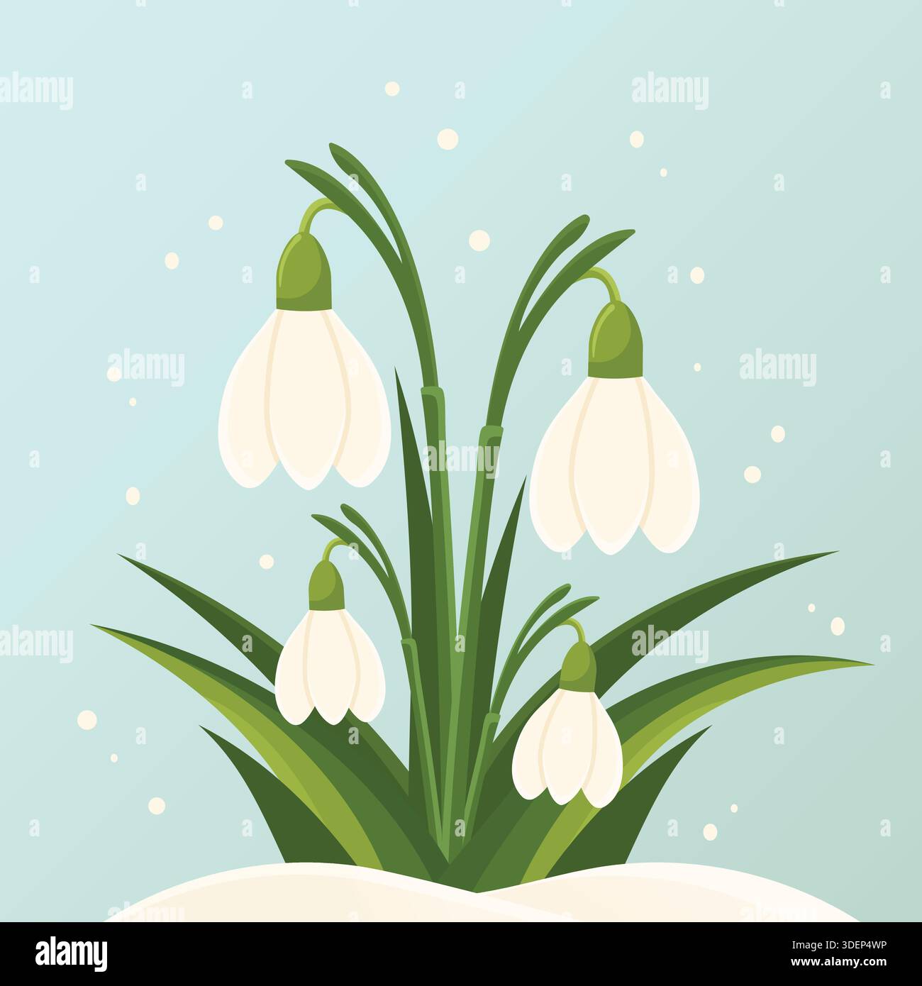 Spring snowdrops flowers blooming in snow flat vector illustration. Stock Vector