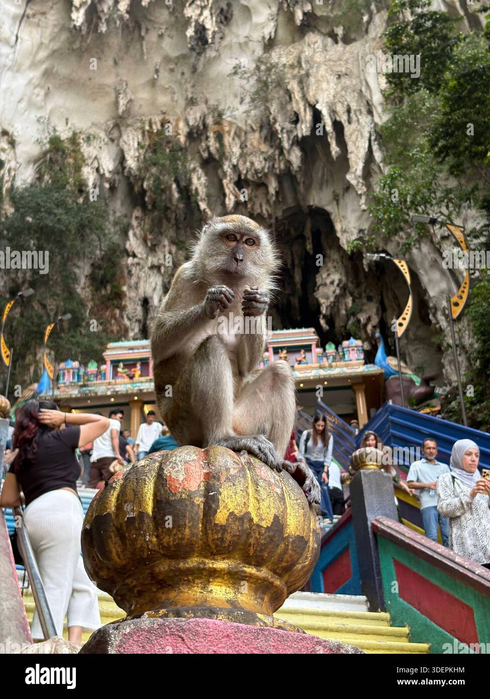 Monkey perched on golden finial at Batu Caves staircase in Malaysia, with colorful temple and limestone cliffs in background - Smartphone Captured Stock Image