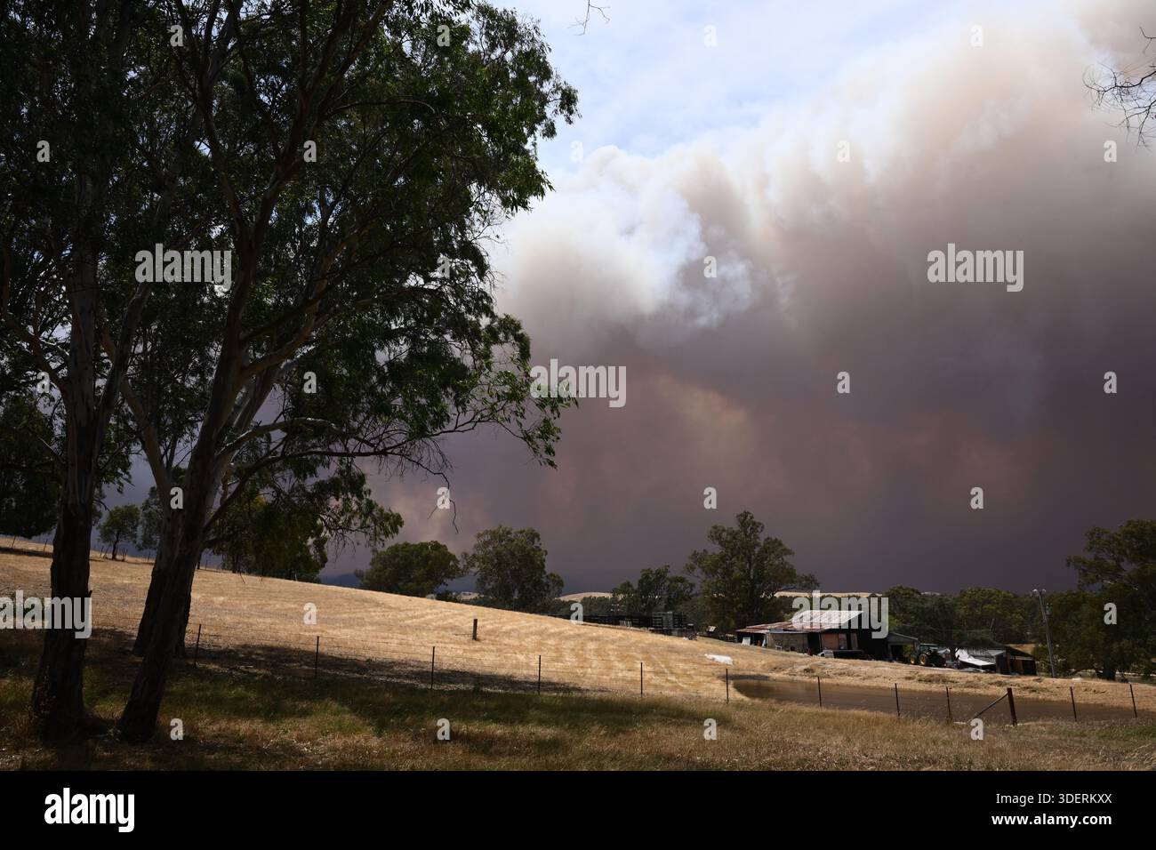 Smoke from the Longwood bushfire outside Seymour on the way to Yea in ...