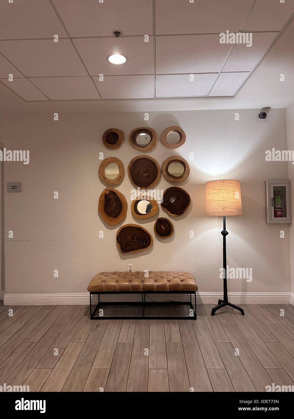 Modern Hotel Interior with Organic Wood Wall Art and Leather Bench - Smartphone Captured Stock Image