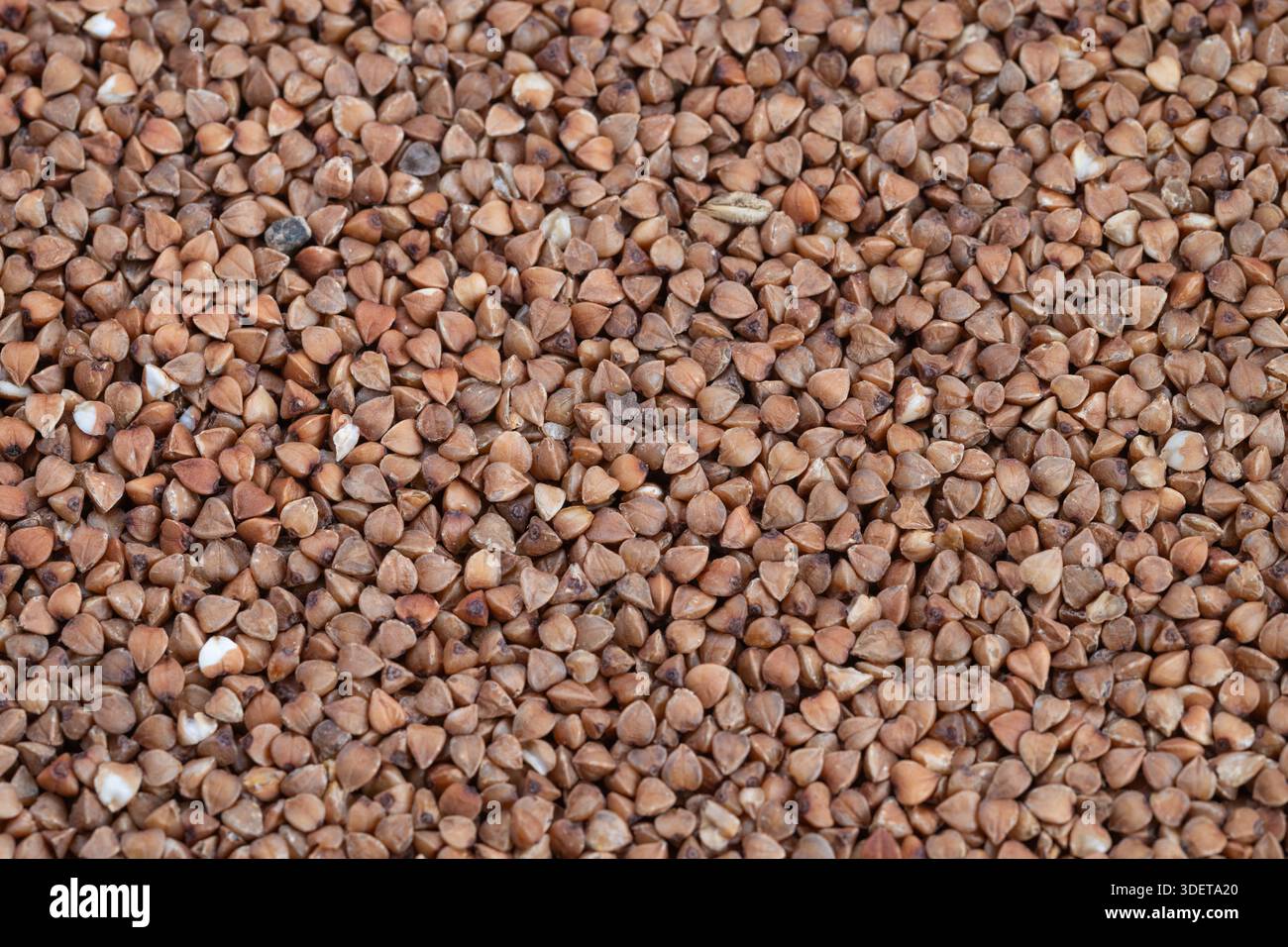 overhead buckwheat groats pattern uniform spread, tight macro composition emphasizing shape and color contrast, highresolution texture study for packa Stock Photo