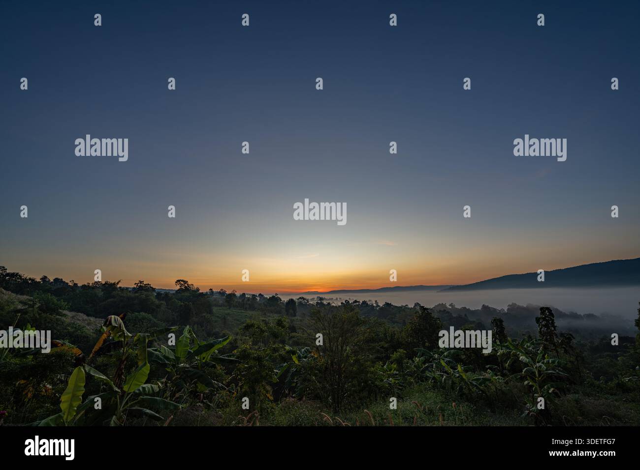 Golden dawn spreads across hi-res stock photography and images - Alamy