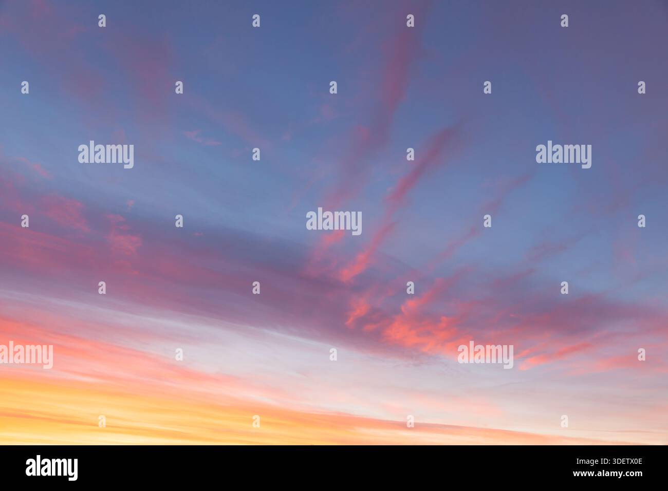 Amazing pink sunset sky and clouds in the evening in Norfolk England Stock Photo