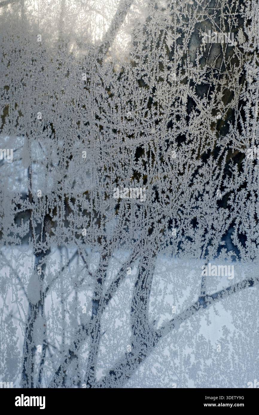 Window Ice Pattern Cold ice crystals form an intricate pattern on inside of glass window during ...