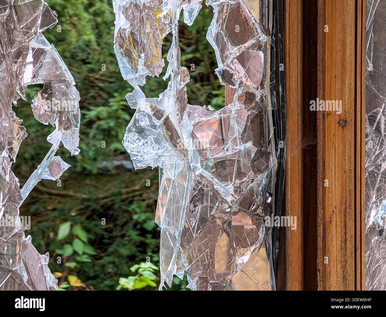 Window Frame Shattered Shattered windows of a long-abandoned building, surrounded by dense ...