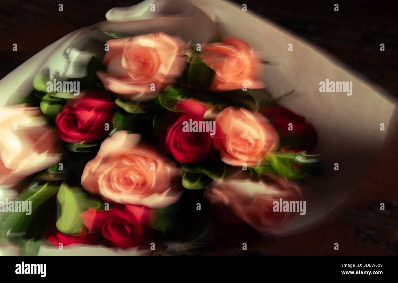 Blurry Roses Blurry photo of bouquet of red and pink roses Stock Photo - Alamy
