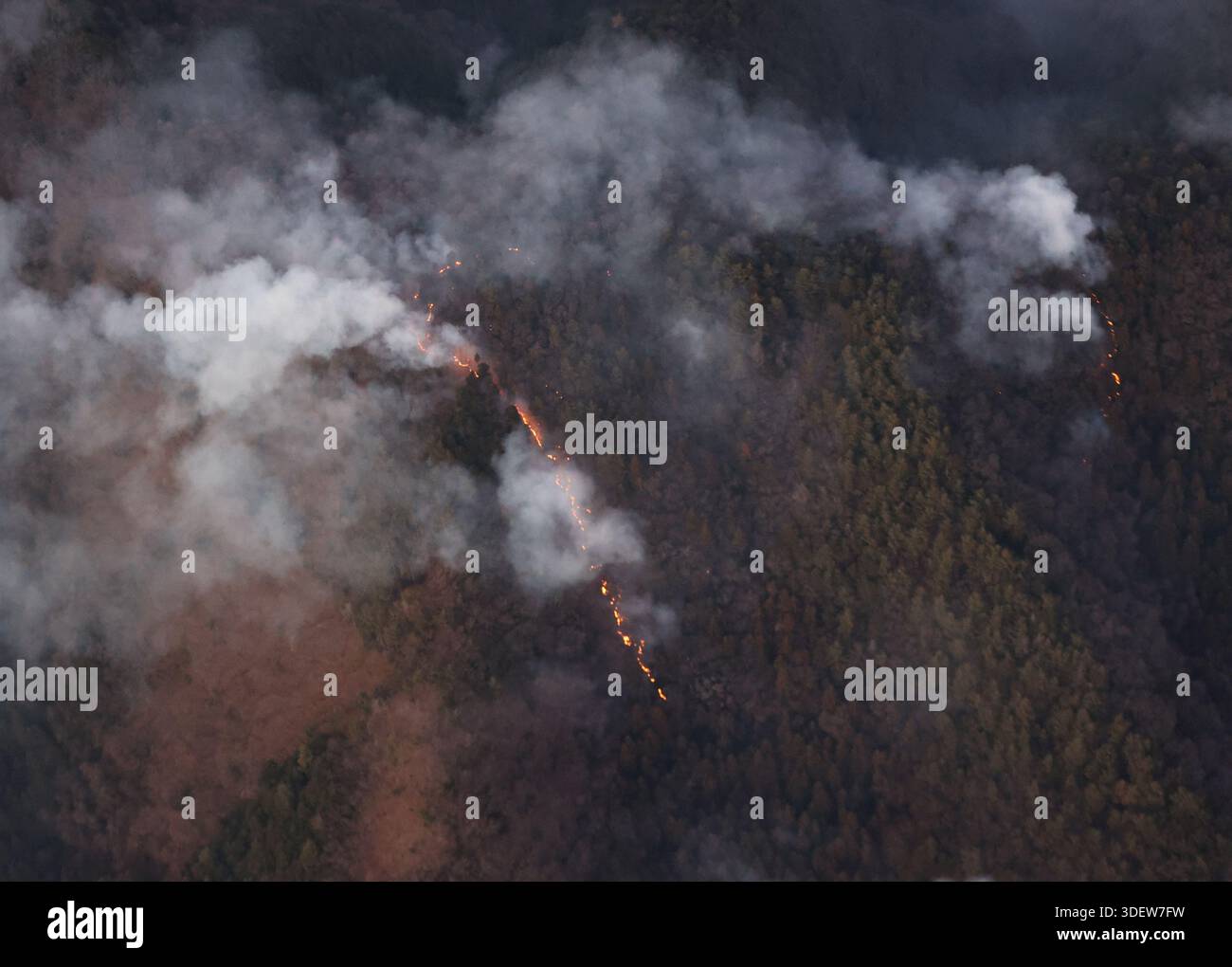 An aerial photo shows a bushfire spreading on Mt. Ougi (1138 m altitude ...