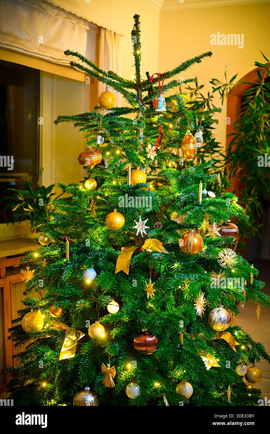 Decorated Christmas tree, Christmas Stock Photo