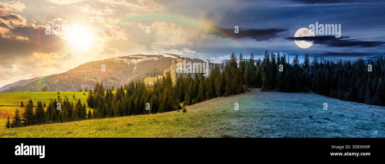 panorama of spruce forest on green hill. time change concept. lovely view of spring landscape with snowy tops of mountain ridge with sun and moon. unc Stock Photo
