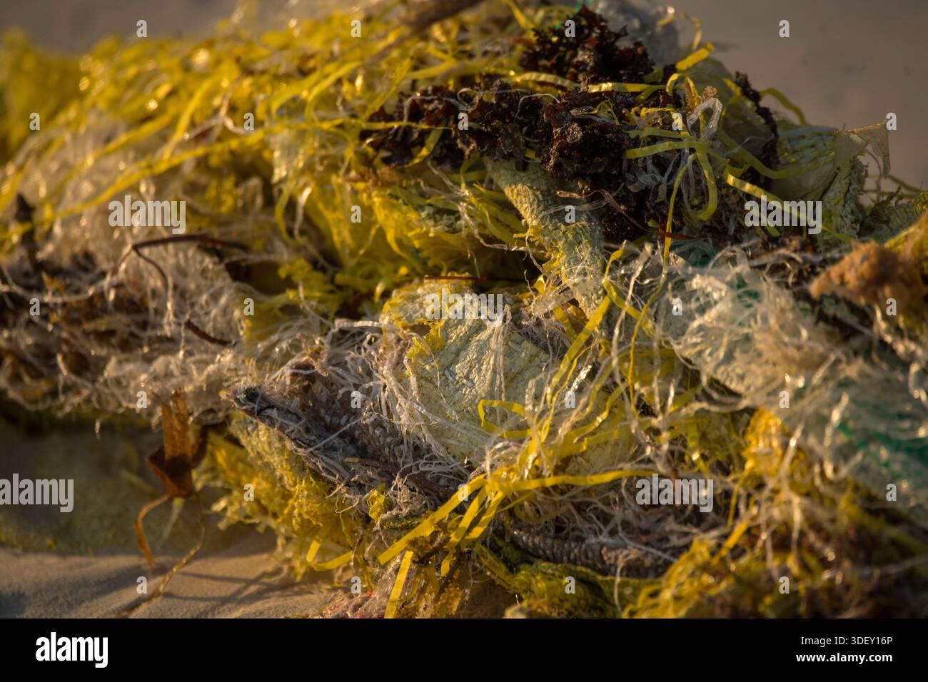 Ocean Pollution Ropes Including coastal waters hi-res stock photography and images - Alamy