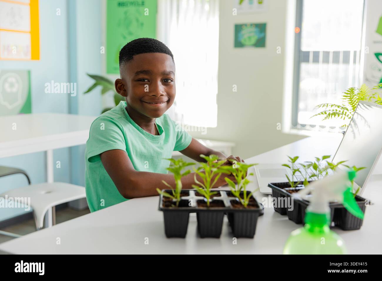 African American school-age boy smiling and tending seedling trays at classroom table using laptop Stock Photo