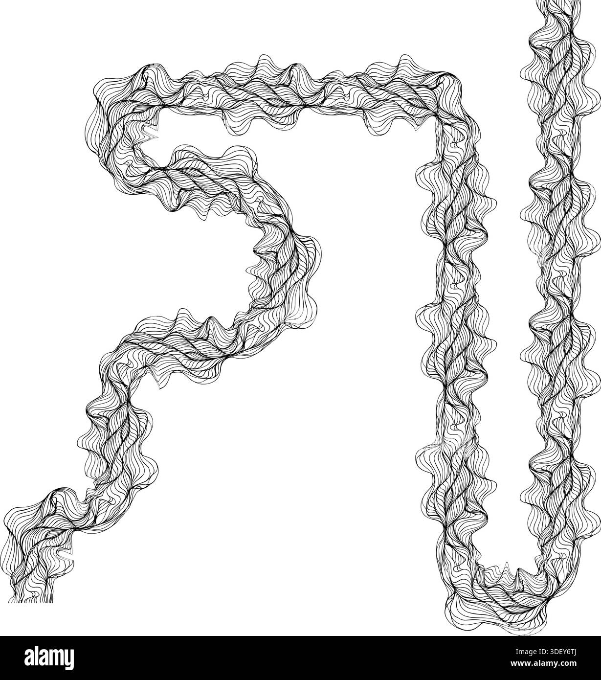 Path Forming Rounded irregular path defined by continuous flowing lines forming ...
