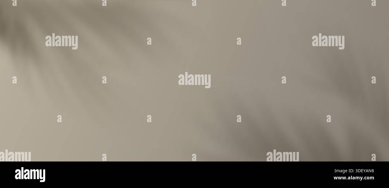 Tropical palm leaves transparent shadows background Stock Vector