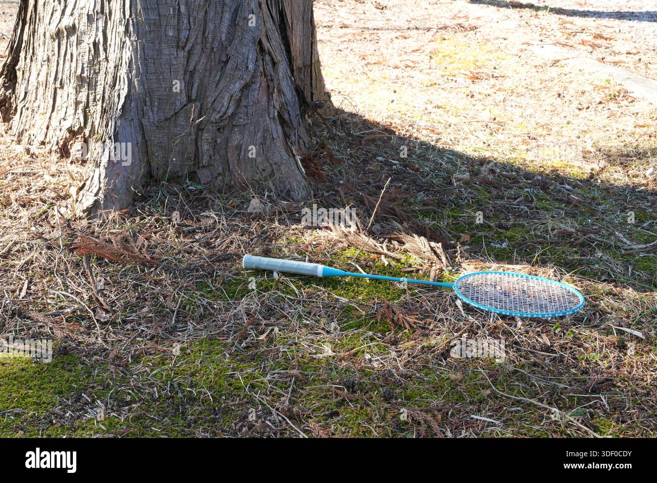 A Racket Tree A tennis racket is laying on the ground next to a tree. The racket is ...