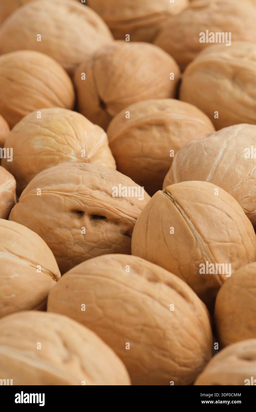 Walnuts background. Close up image of walnut shells Stock Photo