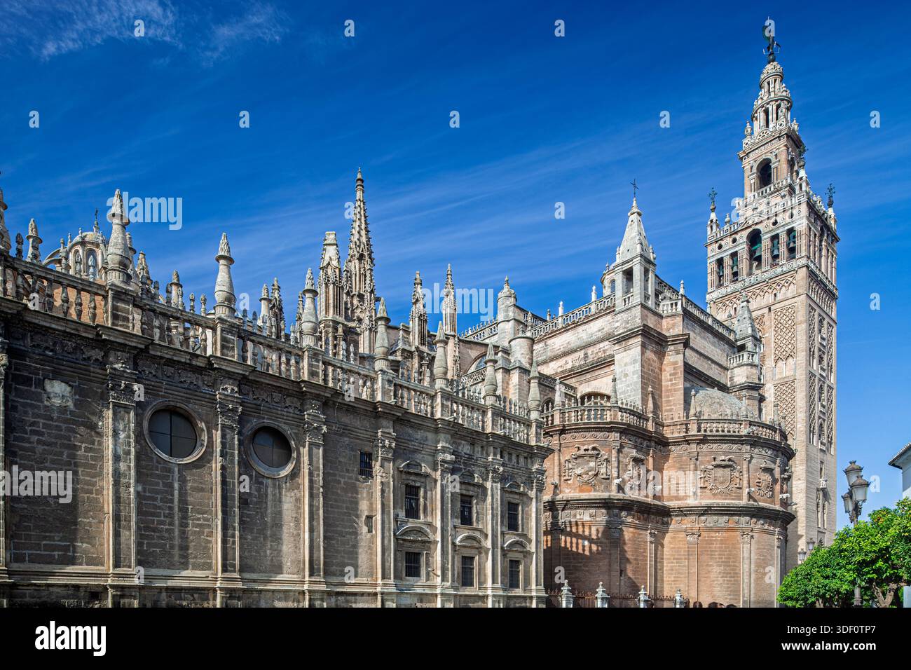 Explore the Seville Cathedral and Giralda Tower, iconic landmarks of ...