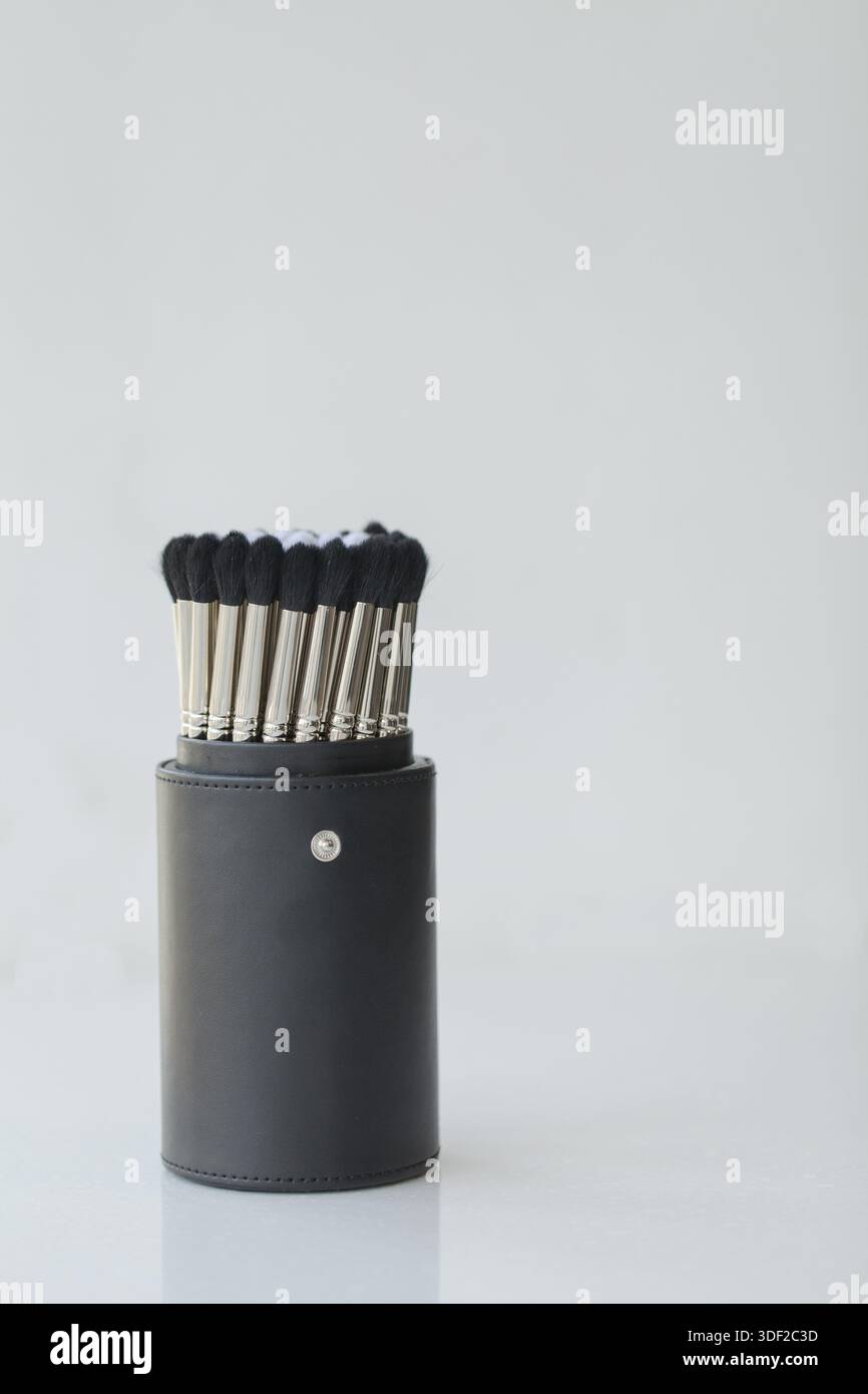 Collection brushes for make-up in a case Stock Photo