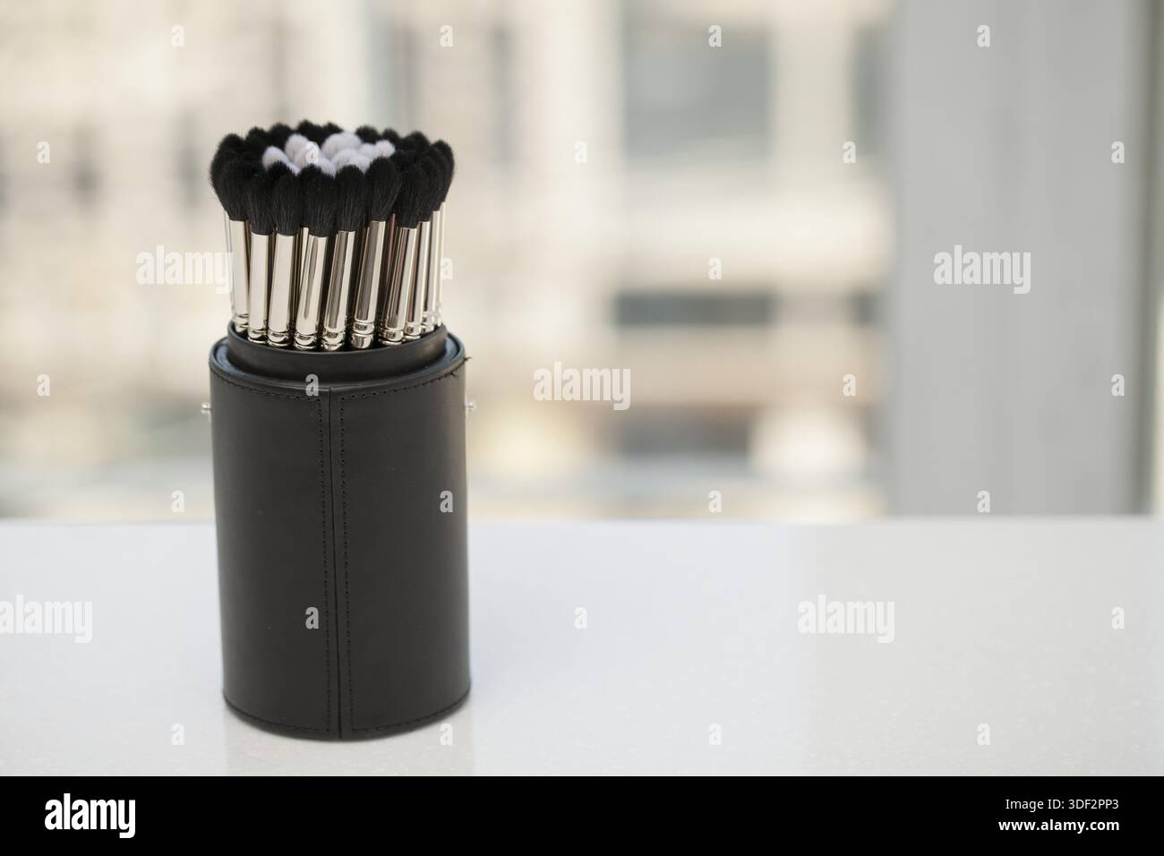 Collection brushes for make-up in a case Stock Photo