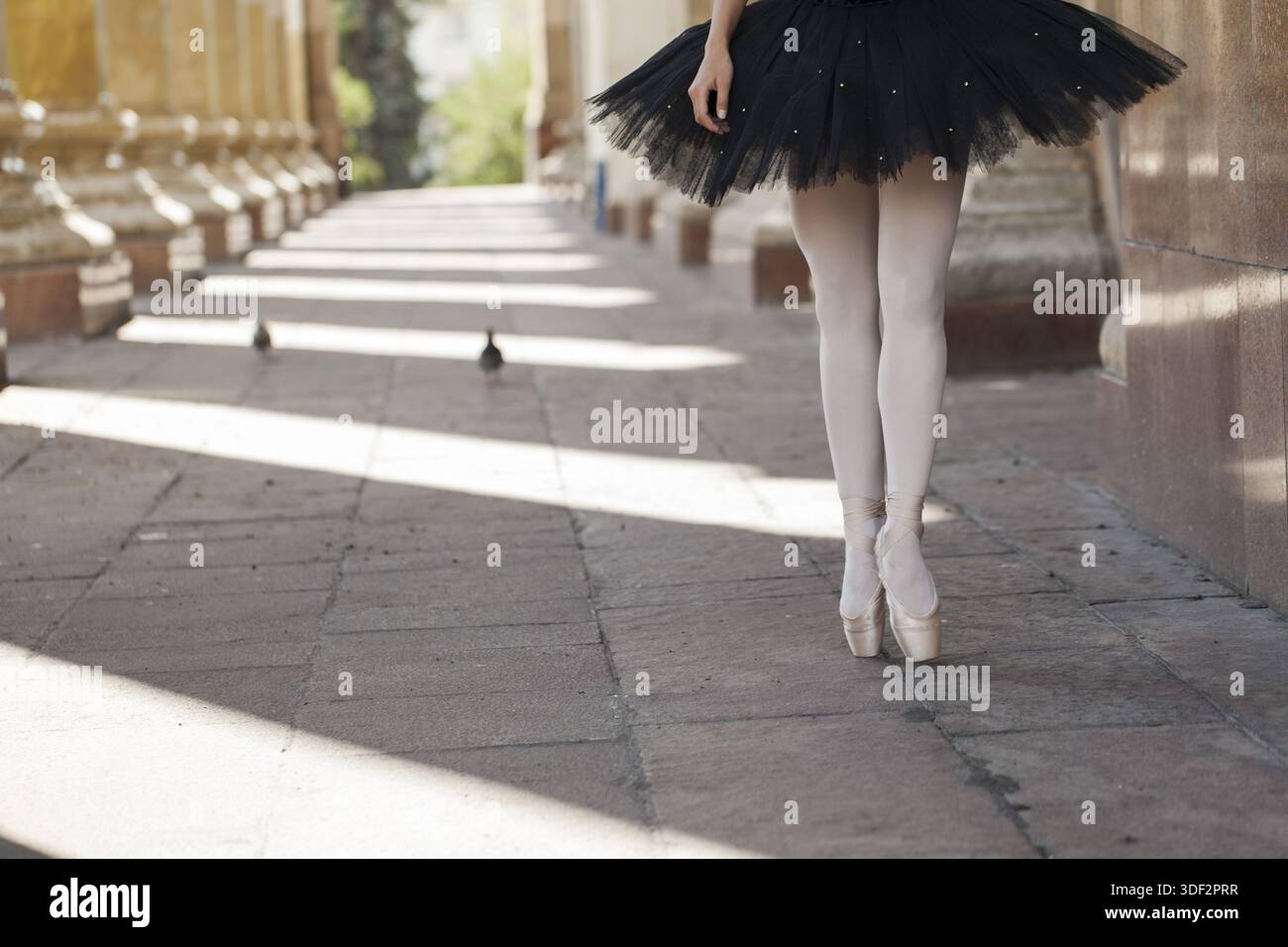 Ballerina standing on tiptoes hi-res stock photography and images - Alamy