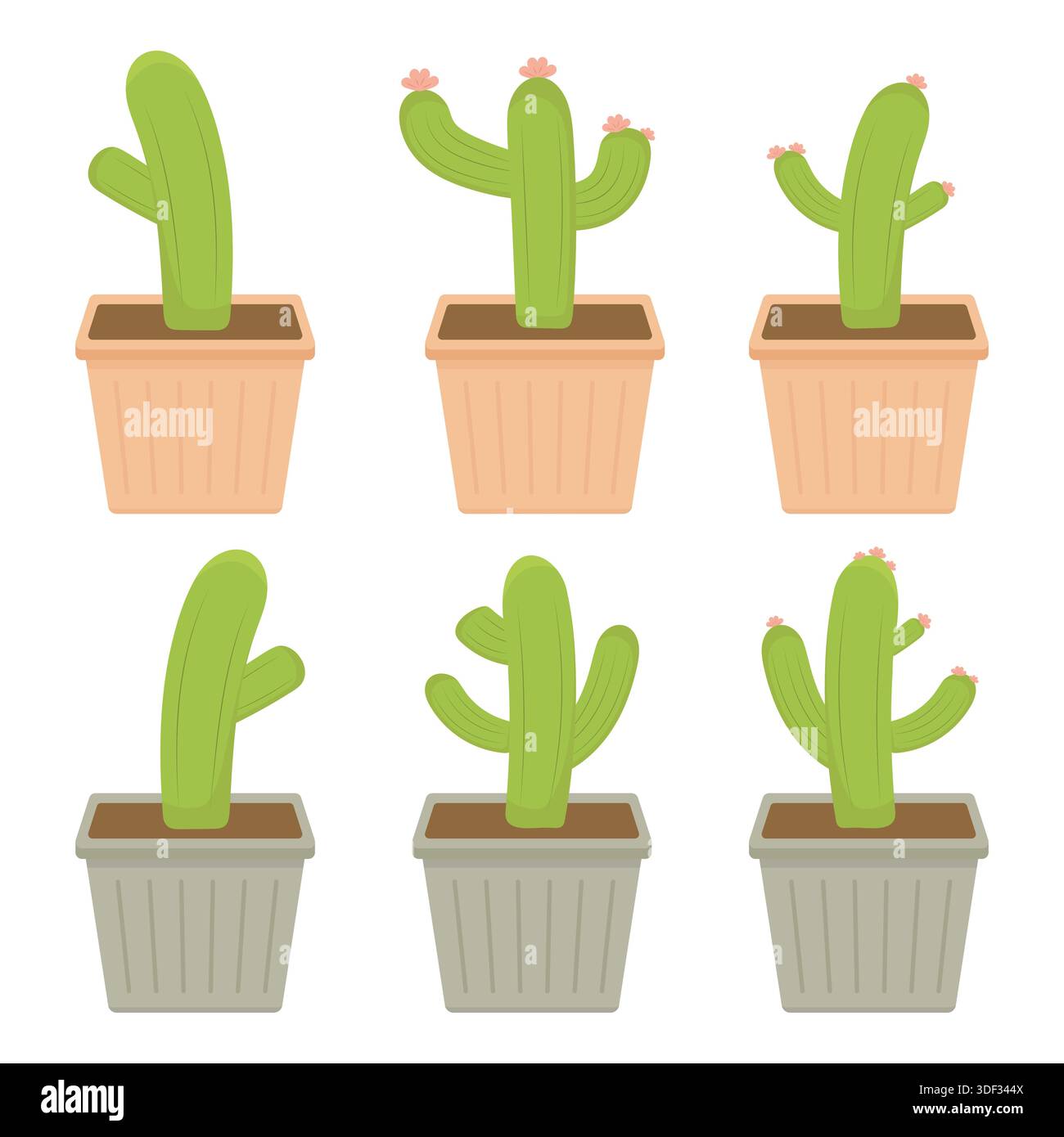 Cute cactus set in pots. Collection of green cactus illustrations in square flower pots, flat style. Vector illustration for home decor graphics, gard Stock Vector