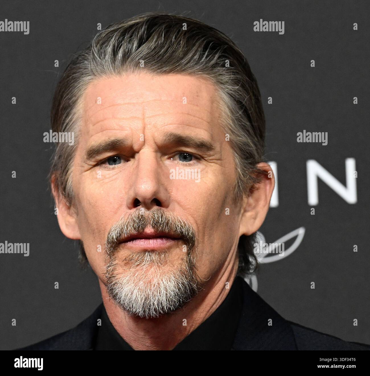 Hawk Actor Actor Ethan Hawke attends the 37th Annual Palm Springs International ...
