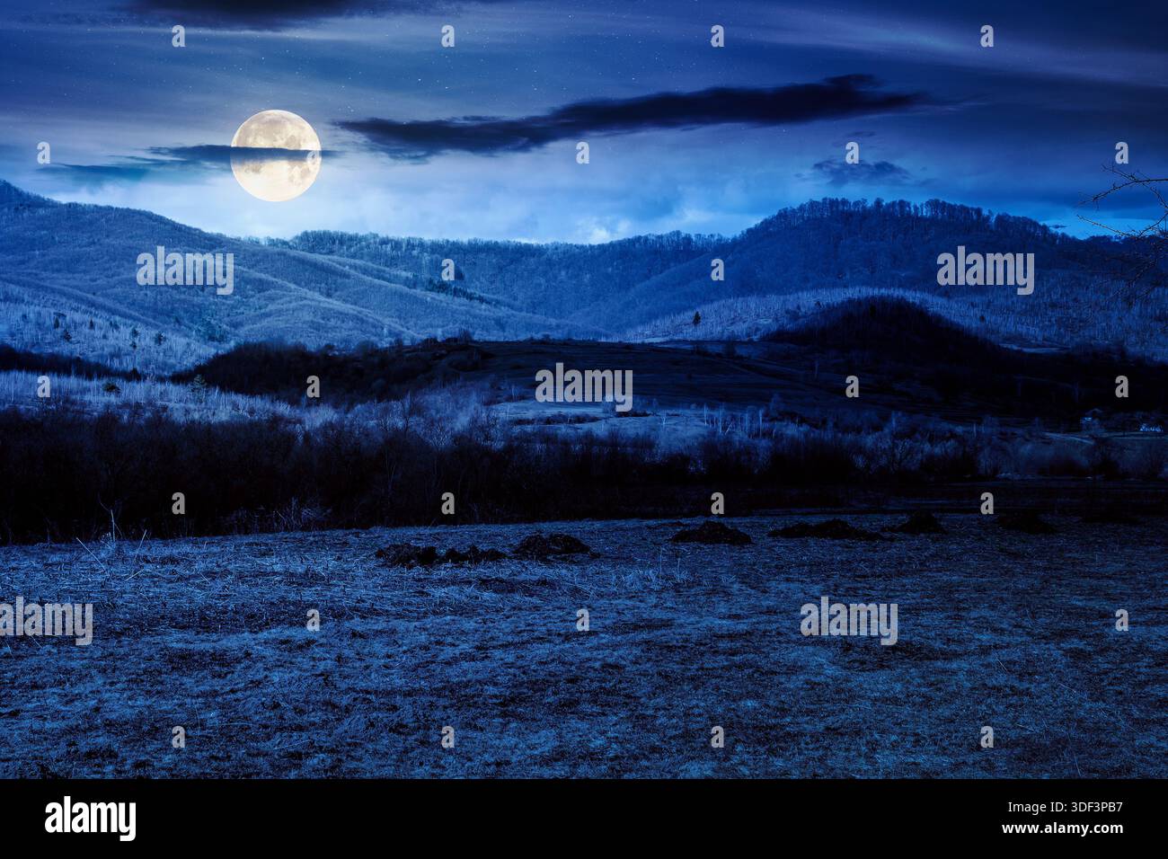 beautiful view of countryside scenery with field in march in full moon light. backdrop for fiction art or mystery concepts Stock Photo