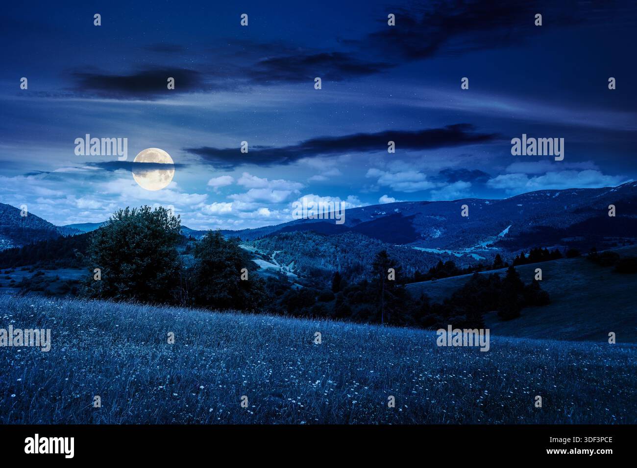 beautiful mountain landscape in summer at night. grassy meadow with wild herbs on rolling hills in full moon light. ridge in the distance. amazing wea Stock Photo