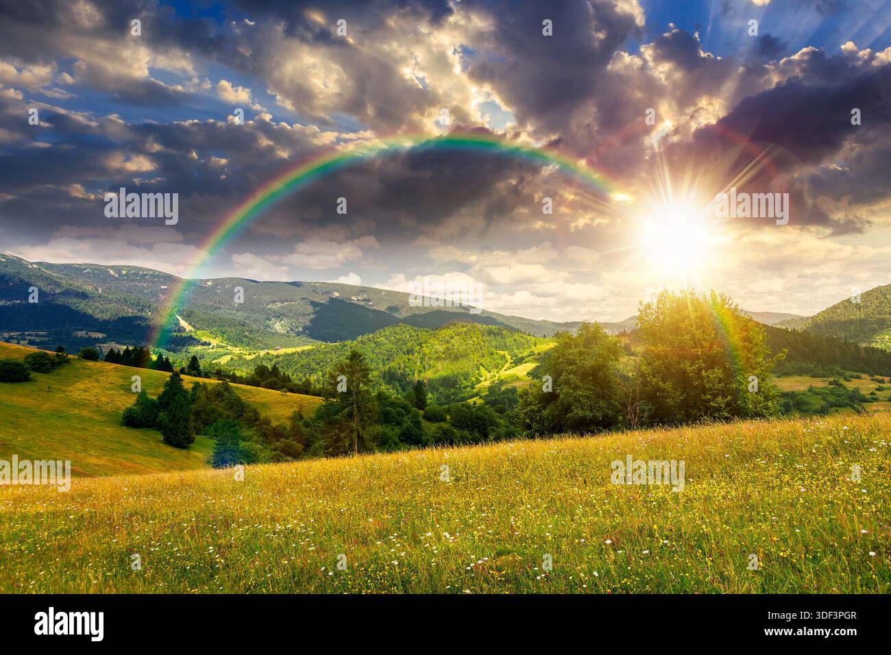 beautiful mountain landscape in summer at sunset. grassy meadow with wild herbs on rolling hills in evening light. ridge in distance. amazing weather. Stock Photo