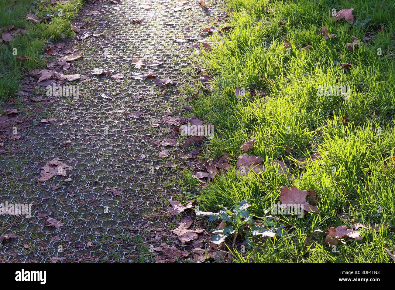 Hexagonal mesh soil hi-res stock photography and images - Alamy