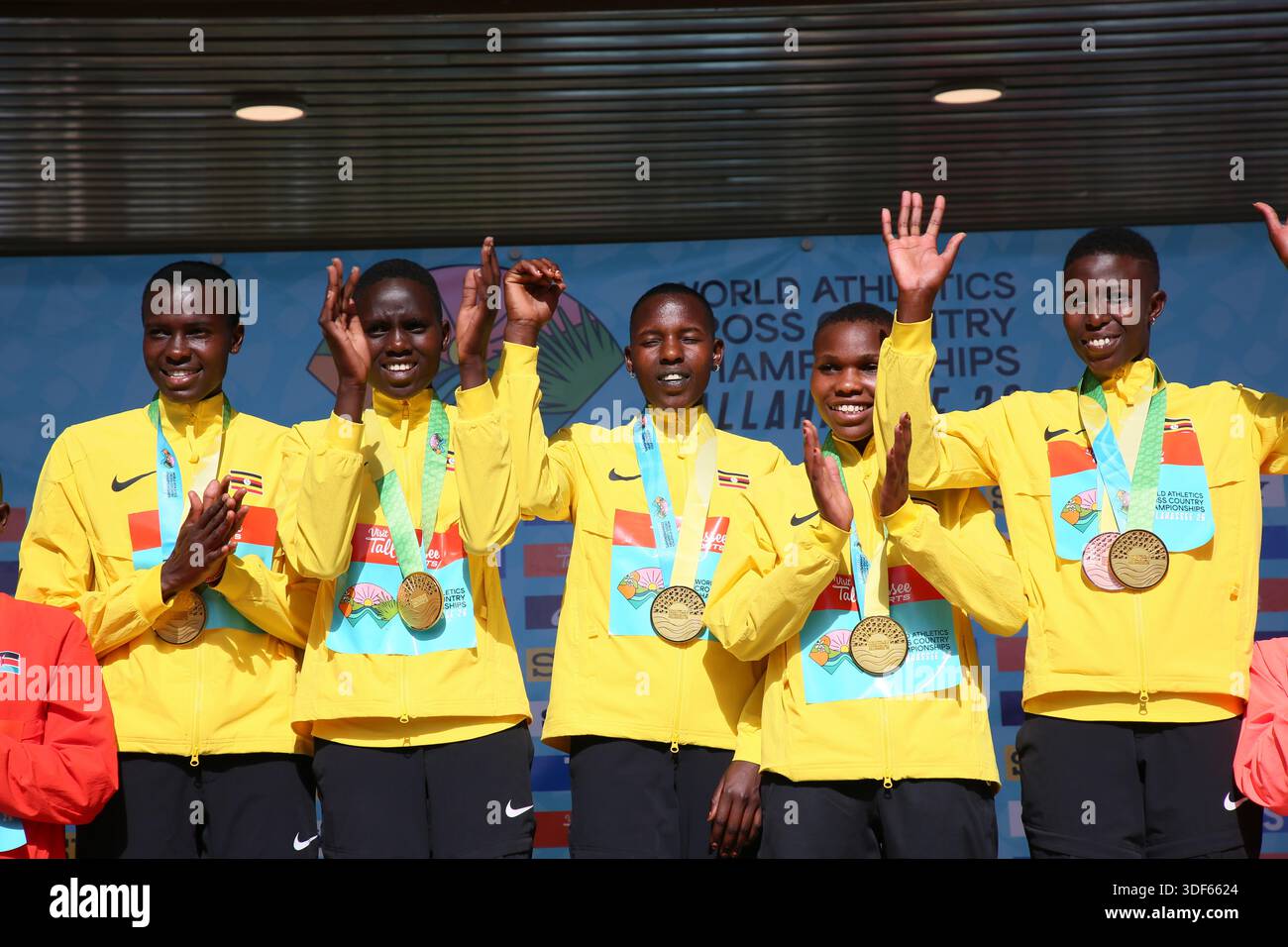 The Impact of Guadeloupean Talent in Combat Sports