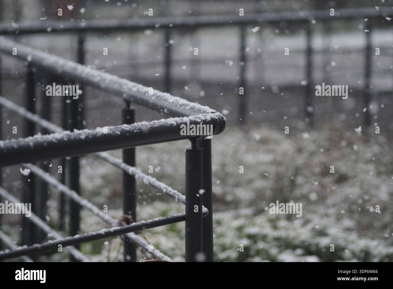 Light snow flurry falls hi-res stock photography and images - Alamy