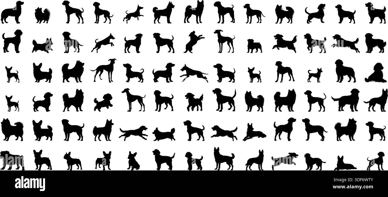 Dogs silhouette in different poses isolated on white background. Stock Vector