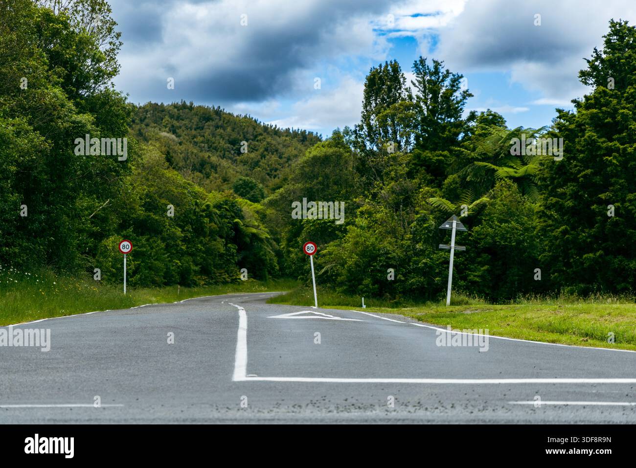 Walk Though Roud Scenic drive through lush hi-res stock photography and images - Alamy