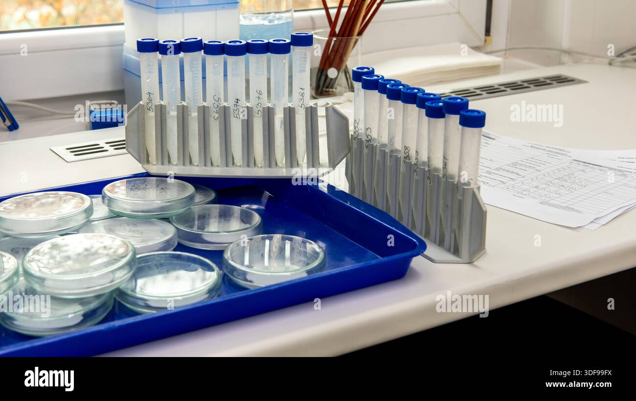 Microbiology laboratory equipment on a white table. Petri dishes with ...