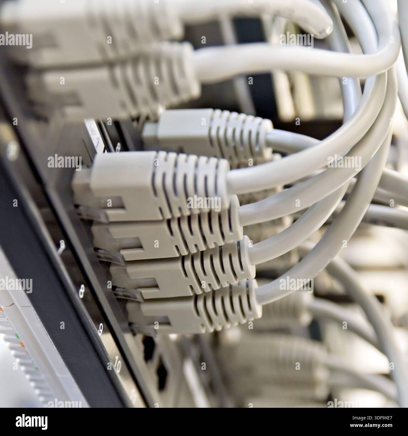 Patch Panel server rack with gray cords Stock Photo