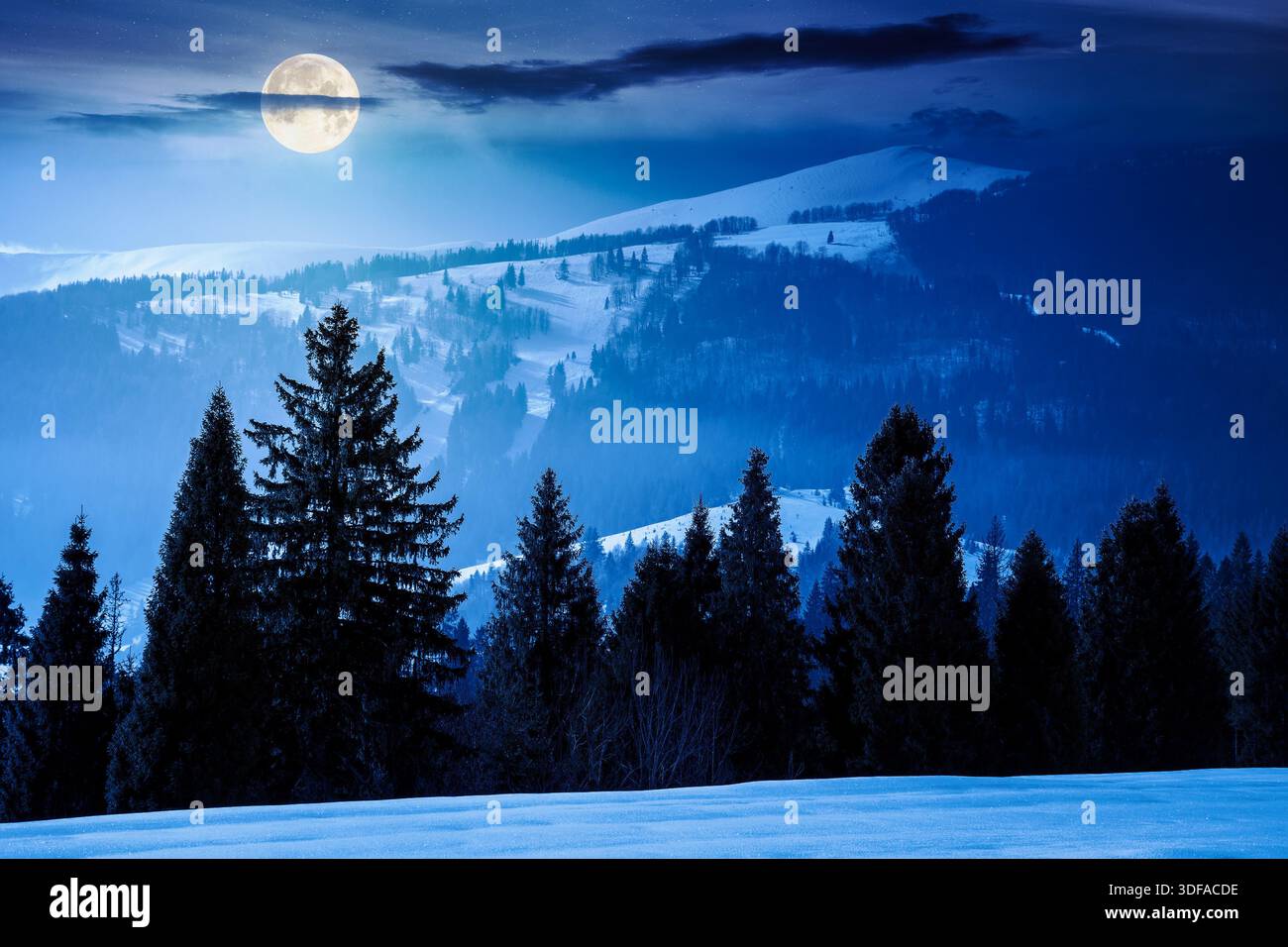 winter landscape at night. fir trees on snow covered hill in full moon light. mysterious place in mountains. winter wonderland background for photo tr Stock Photo