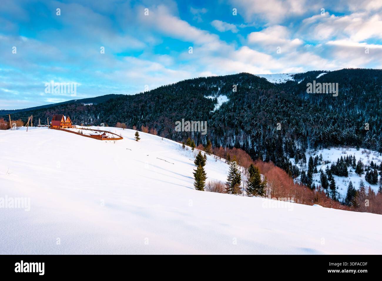 beautiful winter landscape with snow covered hills on sunny morning. serene rural scene in carpathian mountains. rolling countryside area in ukraine. Stock Photo