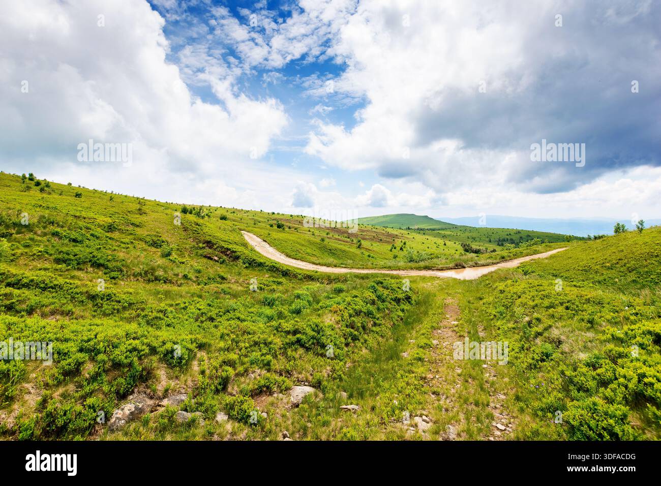 country dirt road through carpathian mountains of ukraine on a summer day. scenic view of green rolling hills under blue sky with clouds. beautiful al Stock Photo