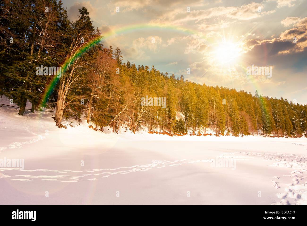 snow covered frozen lake in nature park at sunset. tranquil winter landscape surrounded with coniferous forest on shore in mountains in evening light. Stock Photo