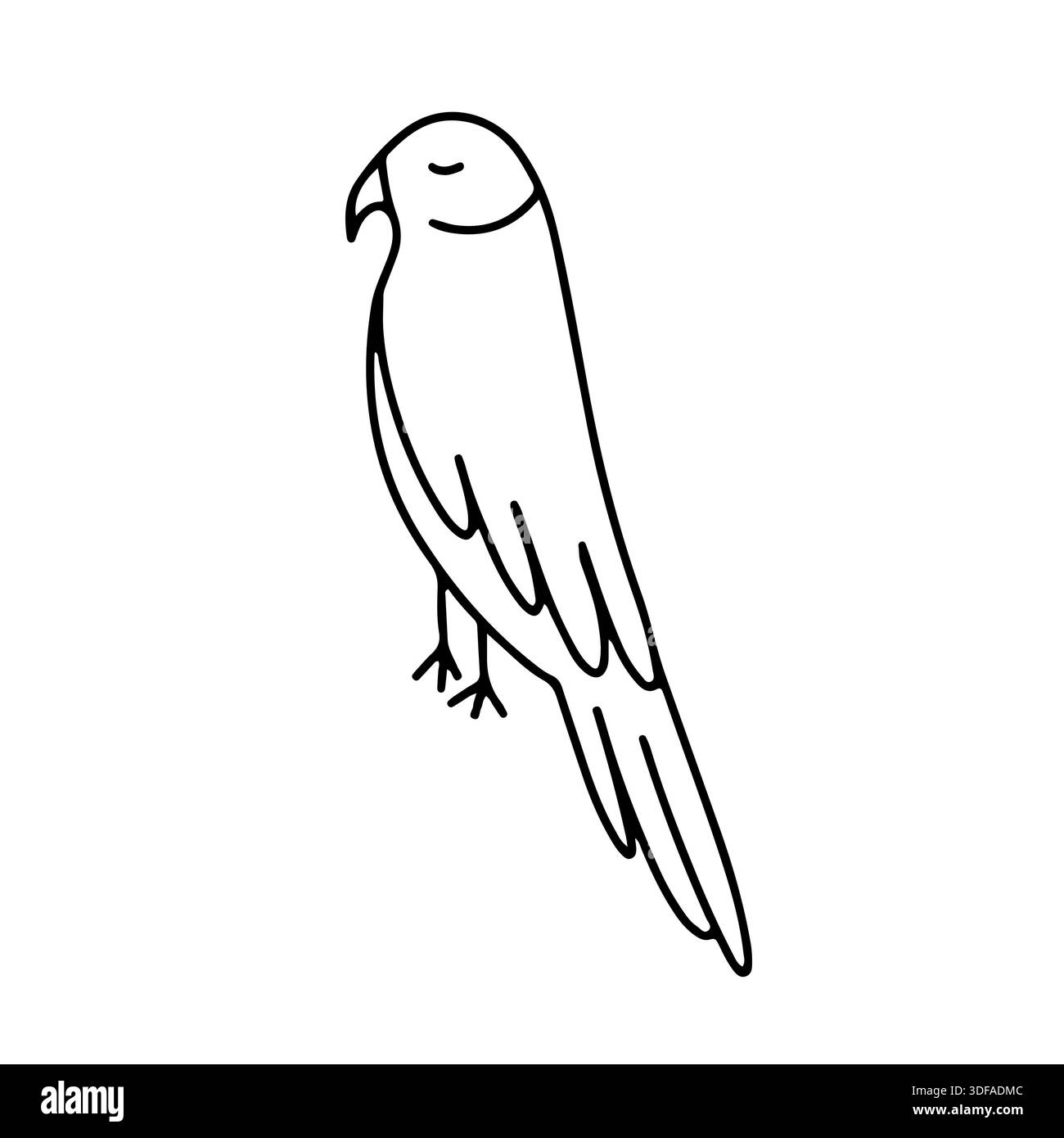 Hand drawn parrot vector sketch Stock Vector Image & Art - Alamy