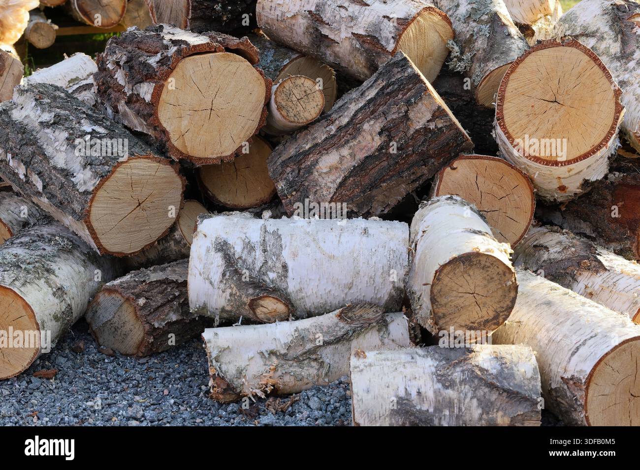 Heap with cut wooden logs, mostly birch tree. Fire wood. Stock Photo